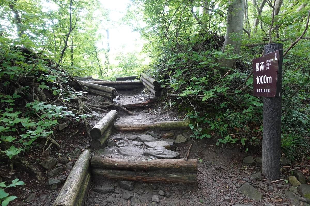 f:id:SiWaSu_CaT:20200923221314j:plain