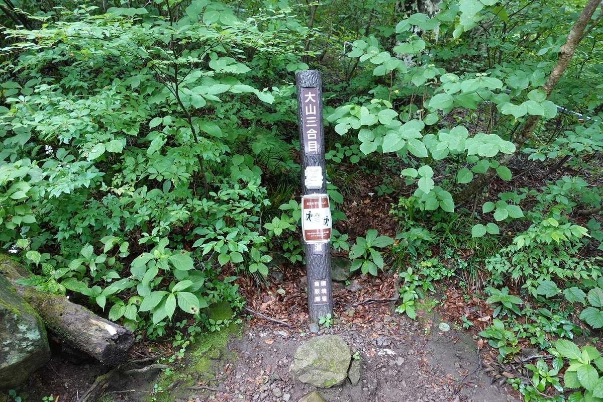 f:id:SiWaSu_CaT:20200923221354j:plain