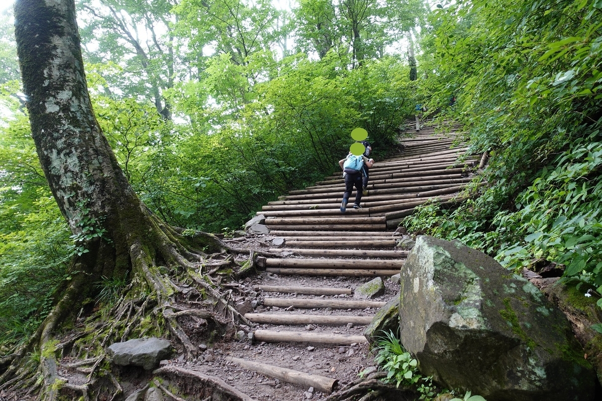 f:id:SiWaSu_CaT:20200923221358j:plain