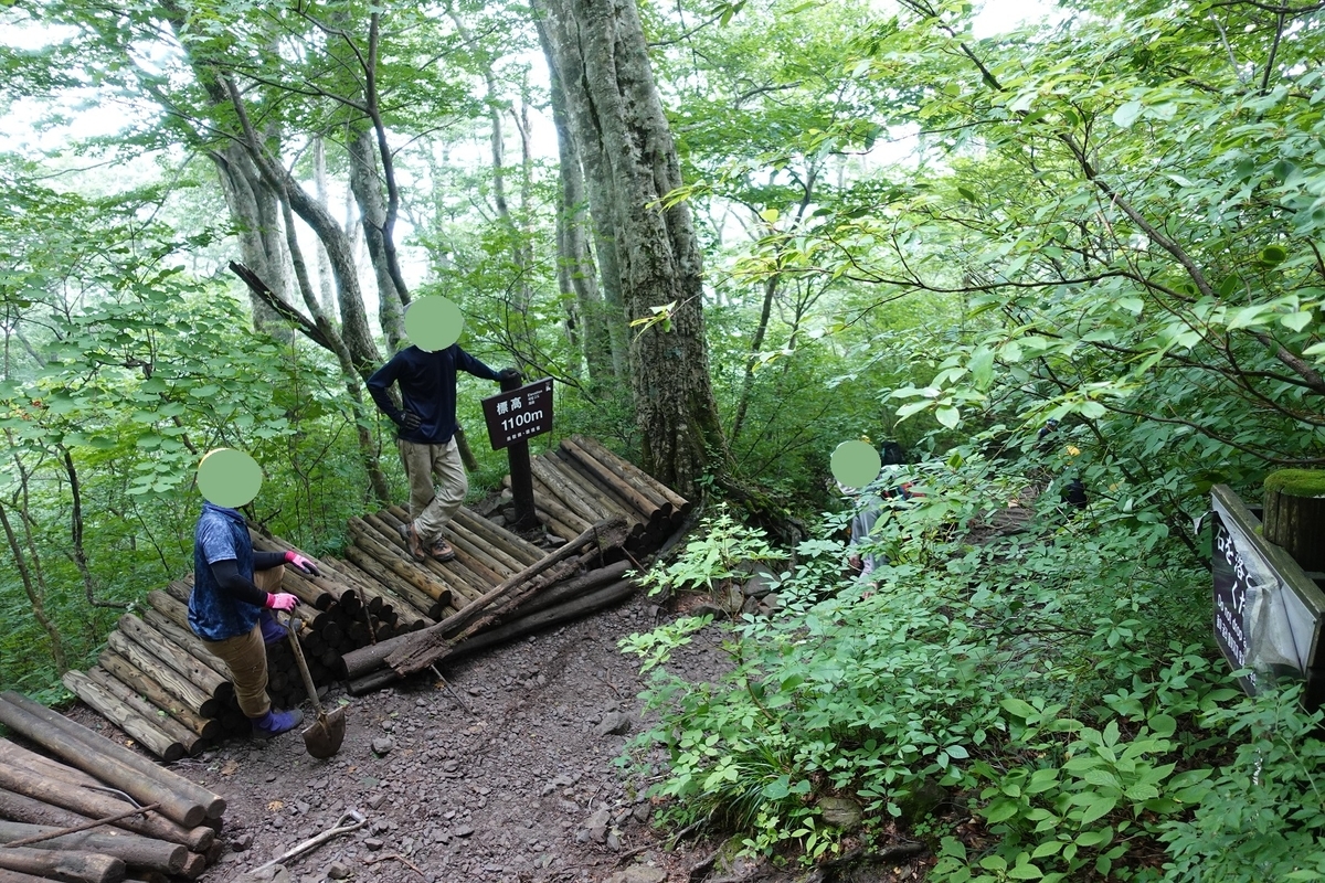 f:id:SiWaSu_CaT:20200923221408j:plain