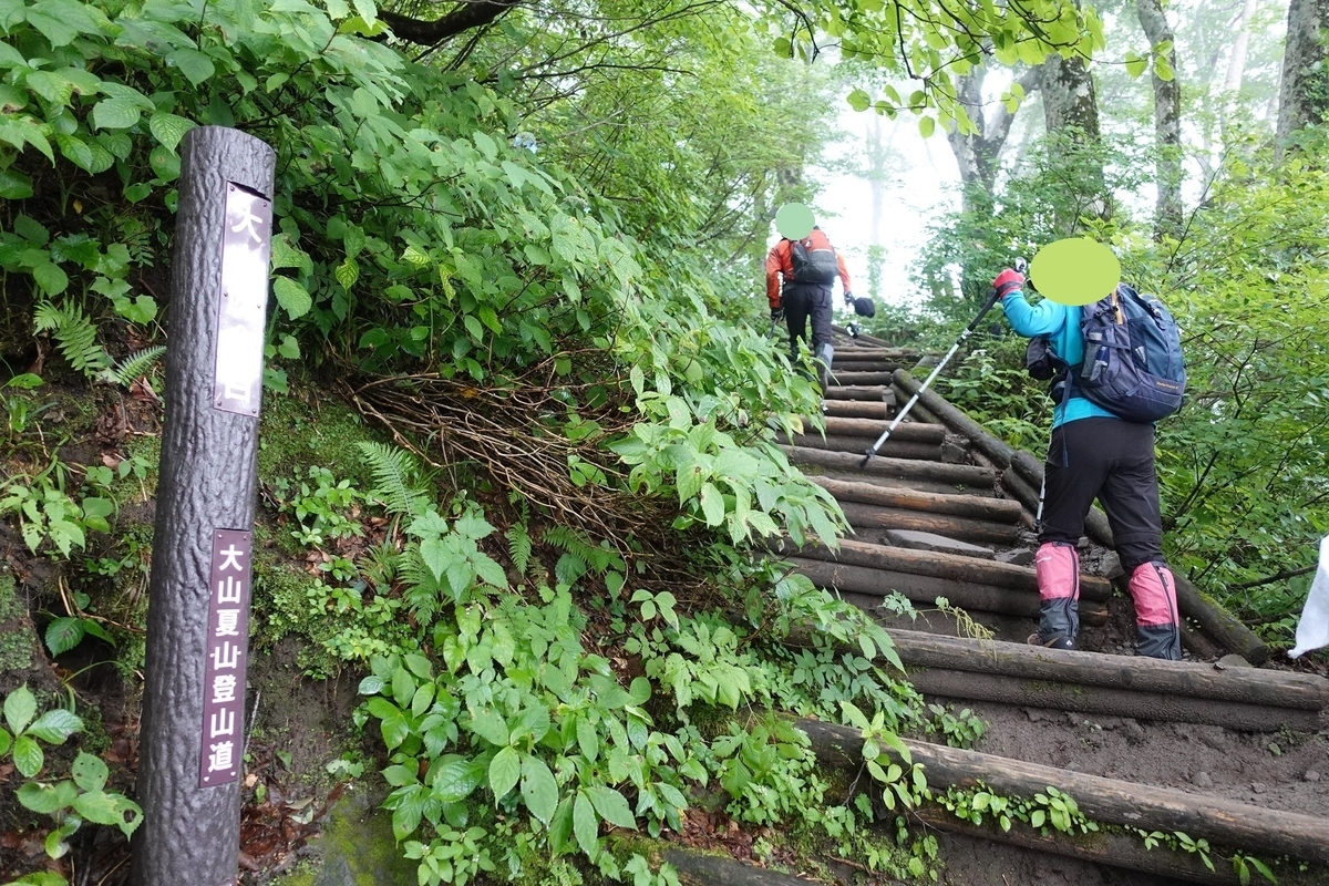 f:id:SiWaSu_CaT:20200923221413j:plain