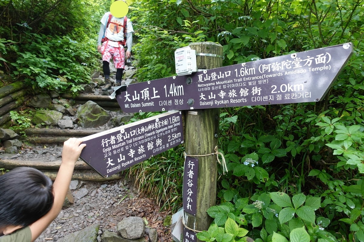 f:id:SiWaSu_CaT:20200923221417j:plain