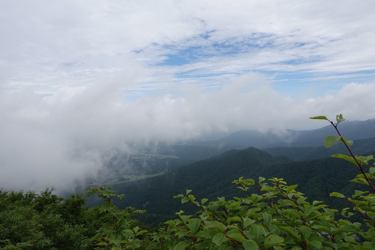 f:id:SiWaSu_CaT:20200923221443j:plain