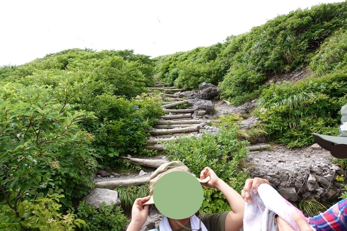 f:id:SiWaSu_CaT:20200923221534j:plain