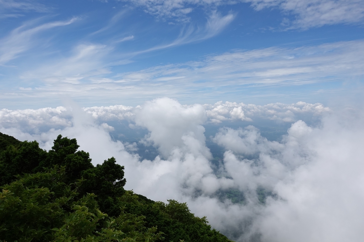 f:id:SiWaSu_CaT:20200923221539j:plain