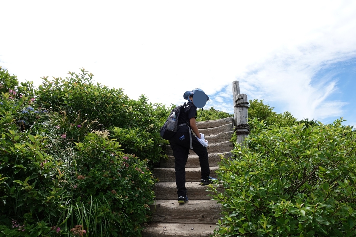 f:id:SiWaSu_CaT:20200923221629j:plain