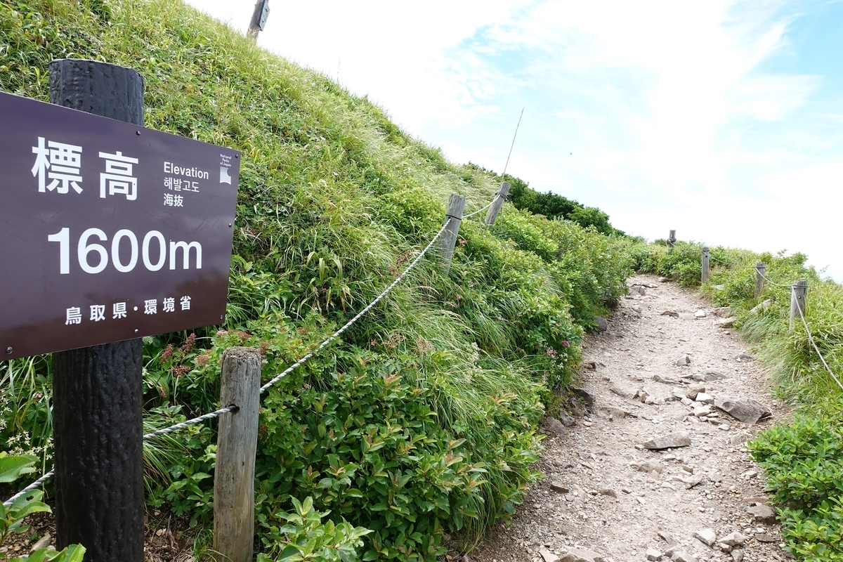 f:id:SiWaSu_CaT:20200923221748j:plain