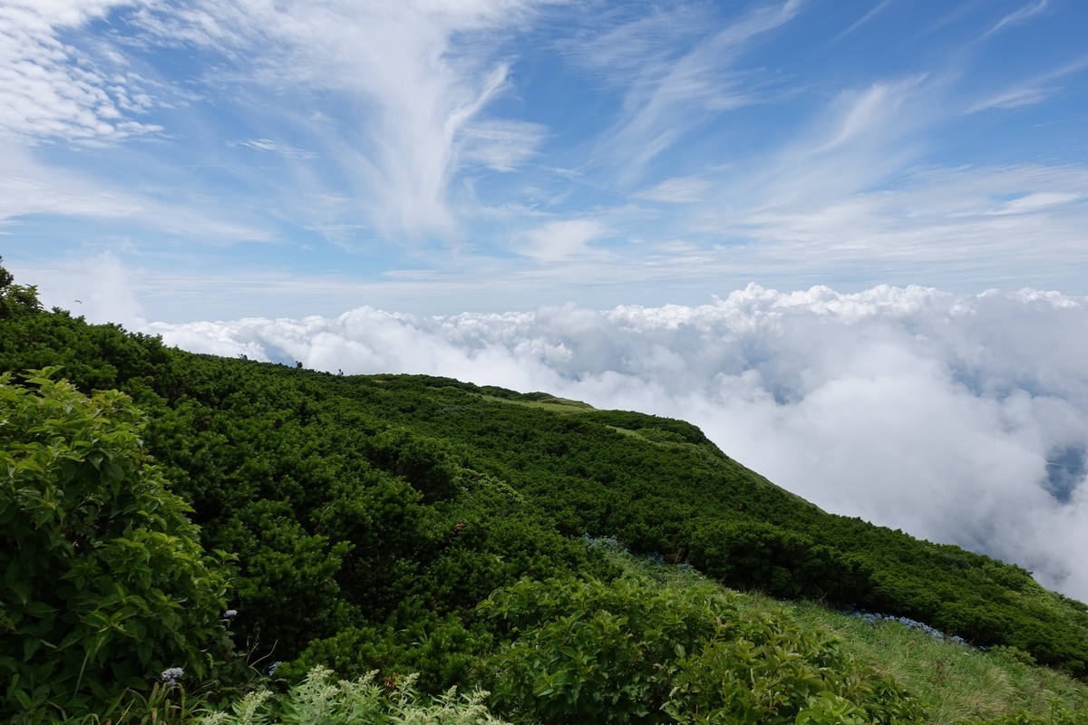 f:id:SiWaSu_CaT:20200923221753j:plain