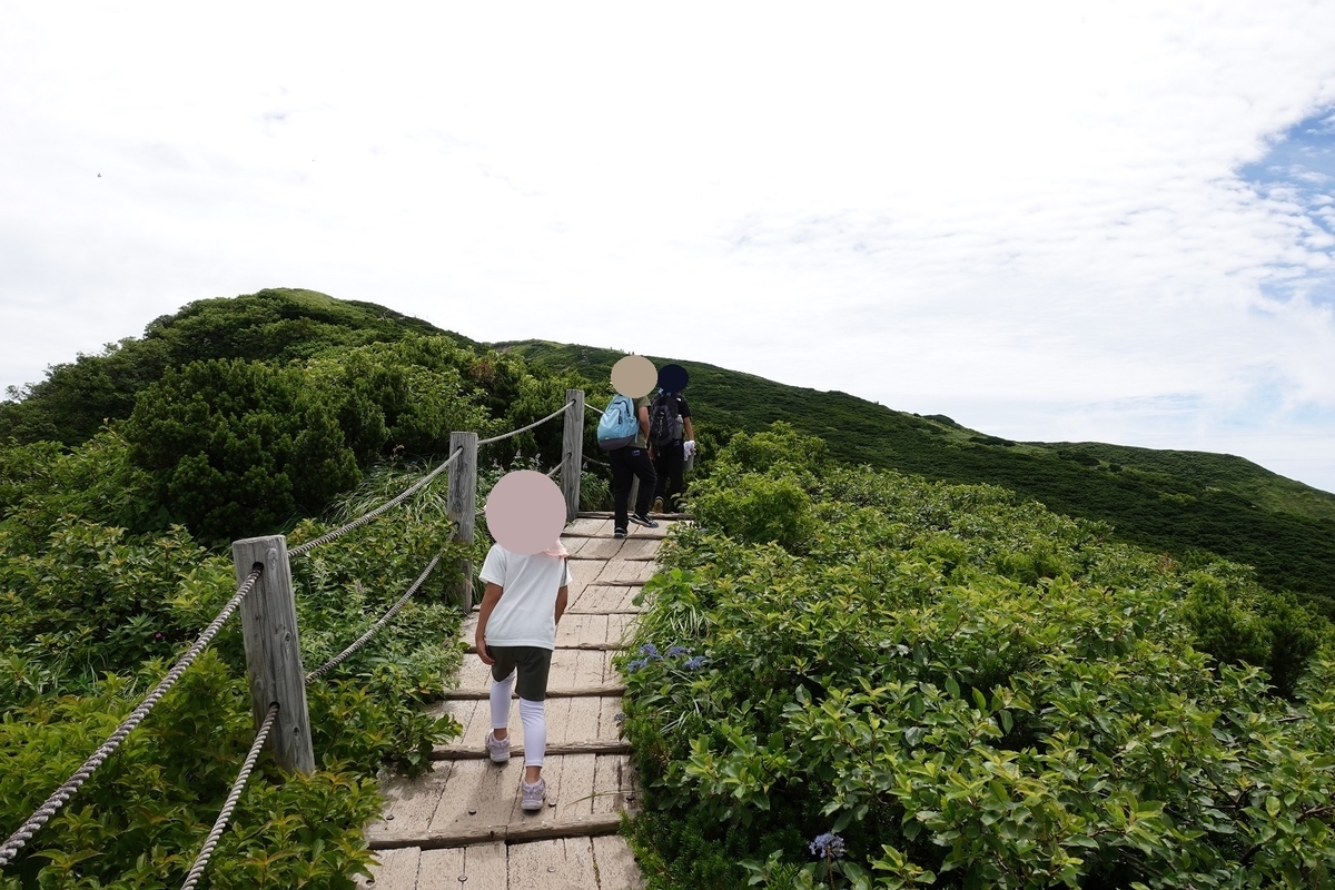 f:id:SiWaSu_CaT:20200923221759j:plain