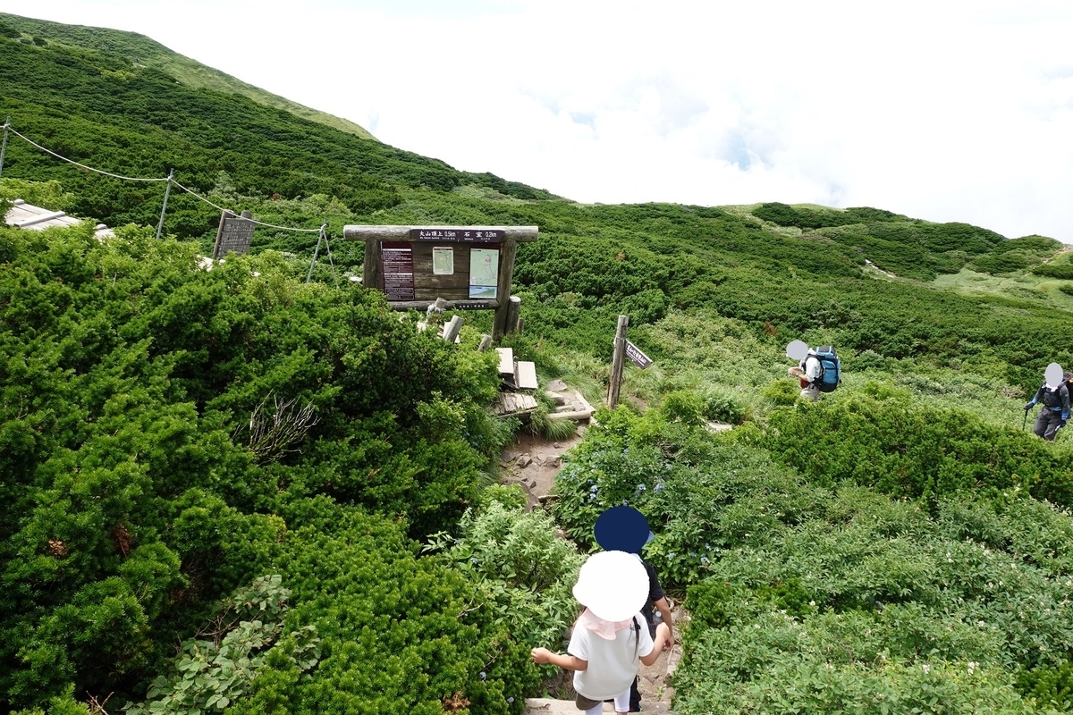 f:id:SiWaSu_CaT:20200923221852j:plain