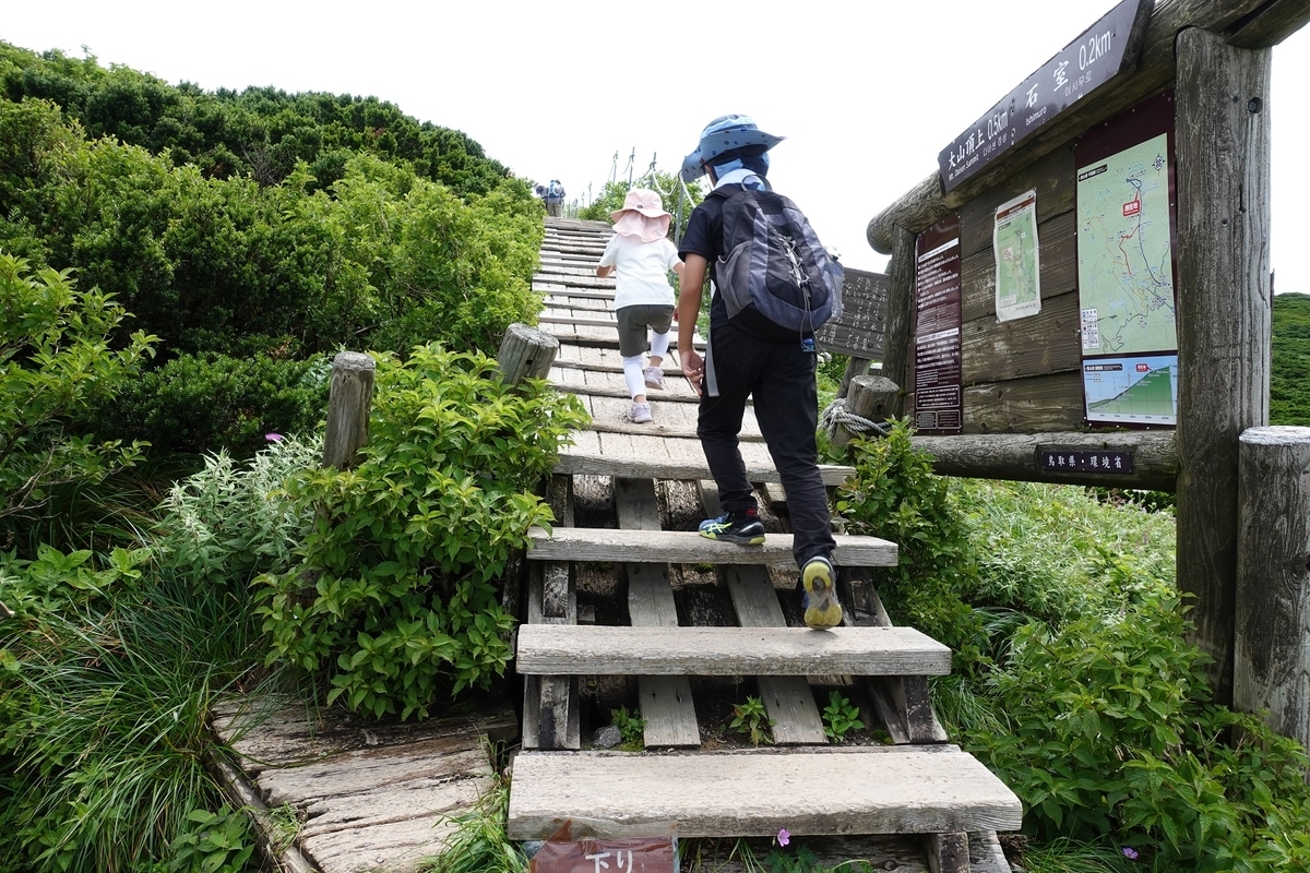 f:id:SiWaSu_CaT:20200923221858j:plain