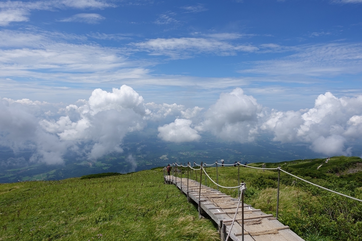 f:id:SiWaSu_CaT:20200923221955j:plain