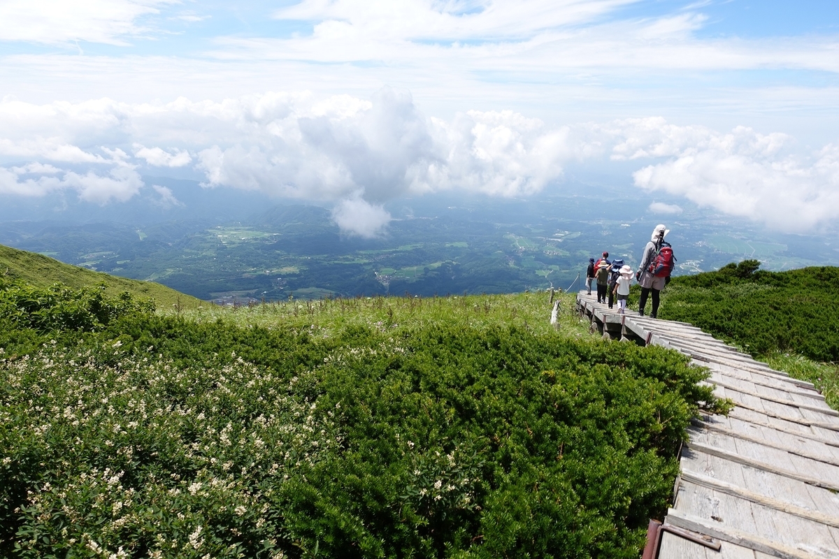 f:id:SiWaSu_CaT:20200923222231j:plain