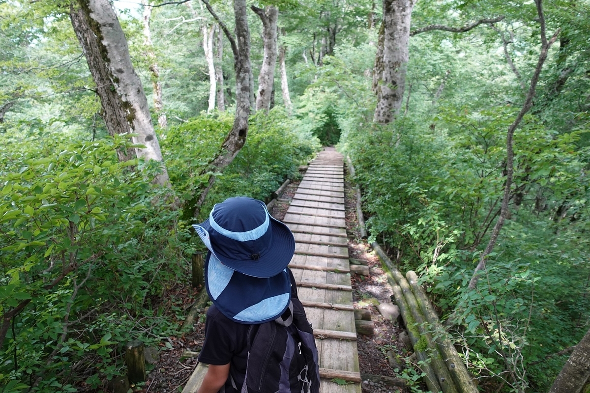 f:id:SiWaSu_CaT:20200923222352j:plain