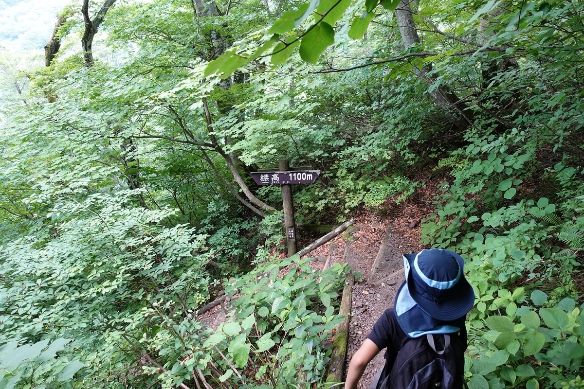 f:id:SiWaSu_CaT:20200923222357j:plain