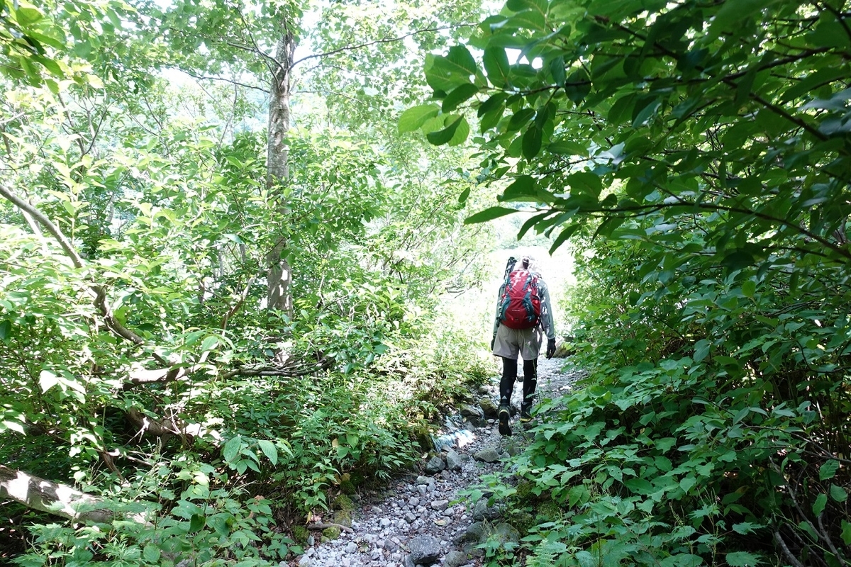 f:id:SiWaSu_CaT:20200923222401j:plain