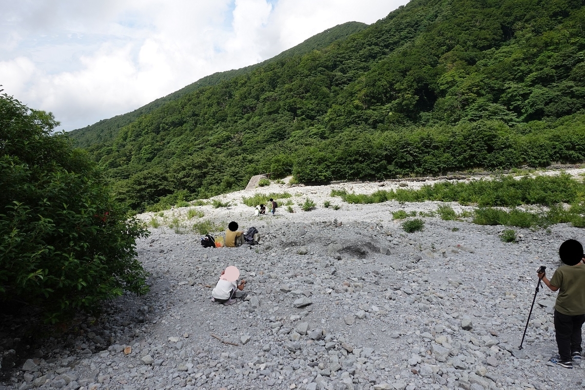 f:id:SiWaSu_CaT:20200923222405j:plain