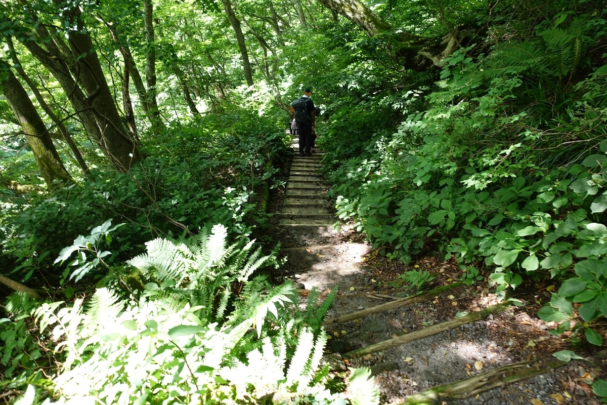 f:id:SiWaSu_CaT:20200923222614j:plain