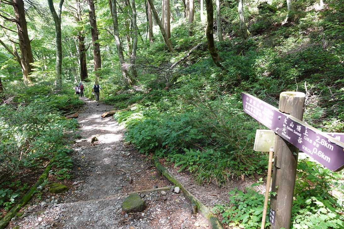 f:id:SiWaSu_CaT:20200923222619j:plain