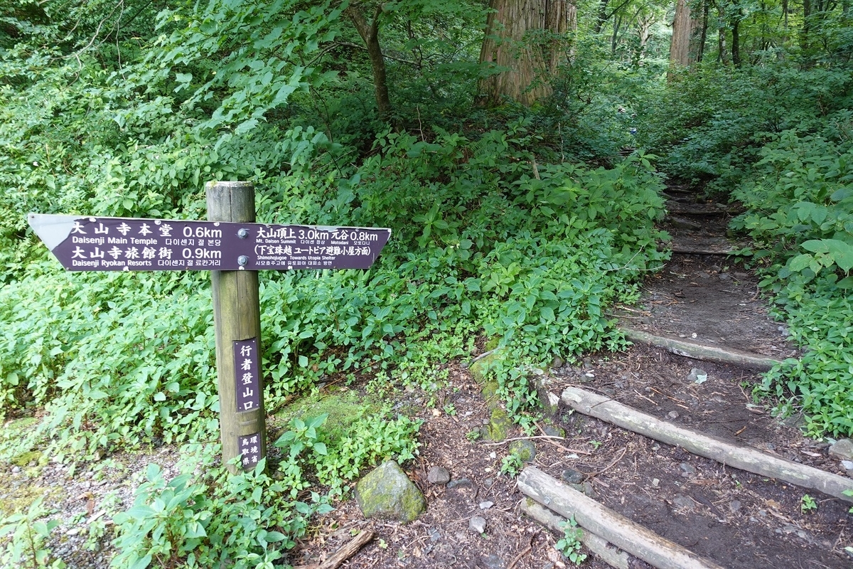 f:id:SiWaSu_CaT:20200923222629j:plain