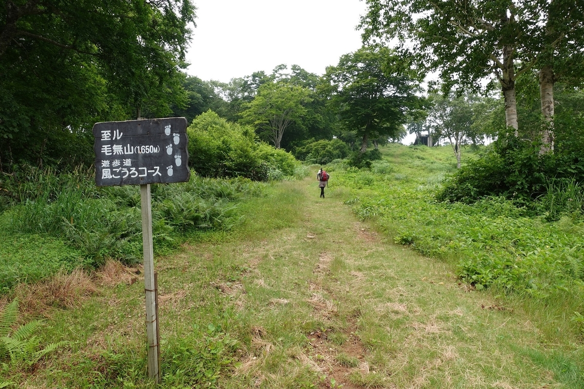 f:id:SiWaSu_CaT:20201014223431j:plain f:id:SiWaSu_CaT:20201014223431j:plain