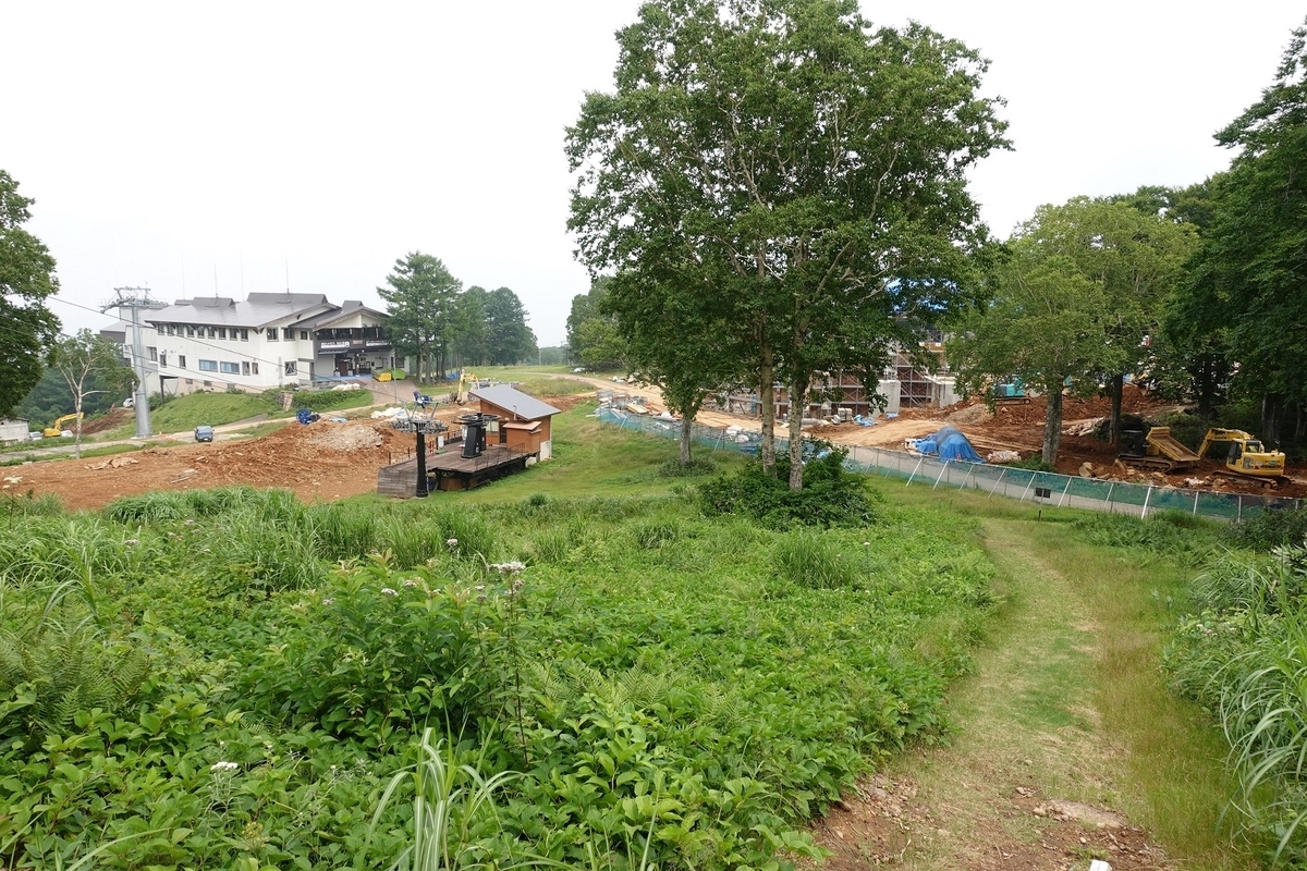 f:id:SiWaSu_CaT:20201014223436j:plain f:id:SiWaSu_CaT:20201014223436j:plain