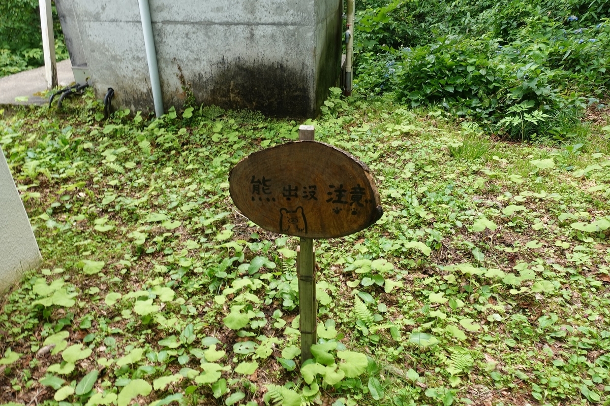 f:id:SiWaSu_CaT:20201014223447j:plain f:id:SiWaSu_CaT:20201014223447j:plain