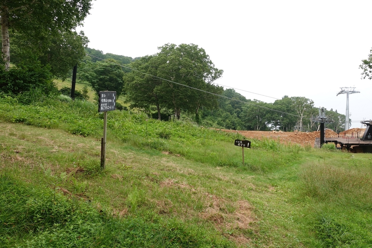 f:id:SiWaSu_CaT:20201014223526j:plain f:id:SiWaSu_CaT:20201014223526j:plain