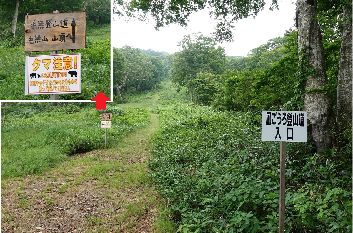 f:id:SiWaSu_CaT:20201014223648j:plain f:id:SiWaSu_CaT:20201014223648j:plain