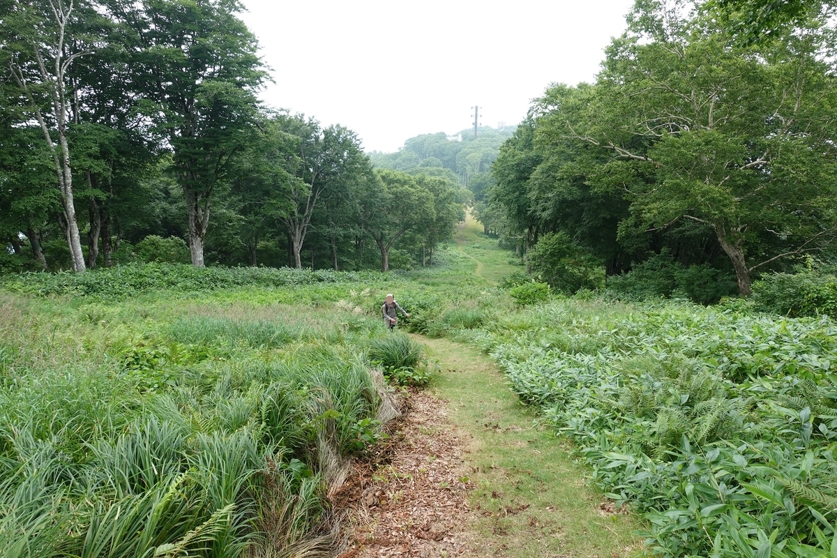 f:id:SiWaSu_CaT:20201014223653j:plain f:id:SiWaSu_CaT:20201014223653j:plain