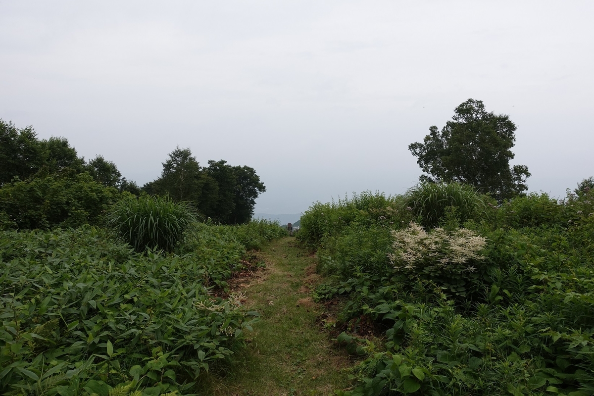 f:id:SiWaSu_CaT:20201014223806j:plain f:id:SiWaSu_CaT:20201014223806j:plain