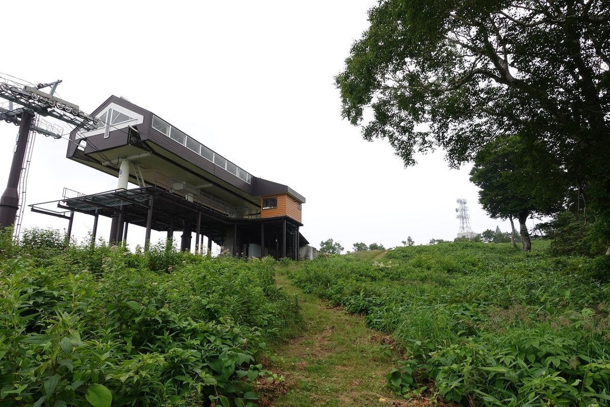 f:id:SiWaSu_CaT:20201014223811j:plain f:id:SiWaSu_CaT:20201014223811j:plain