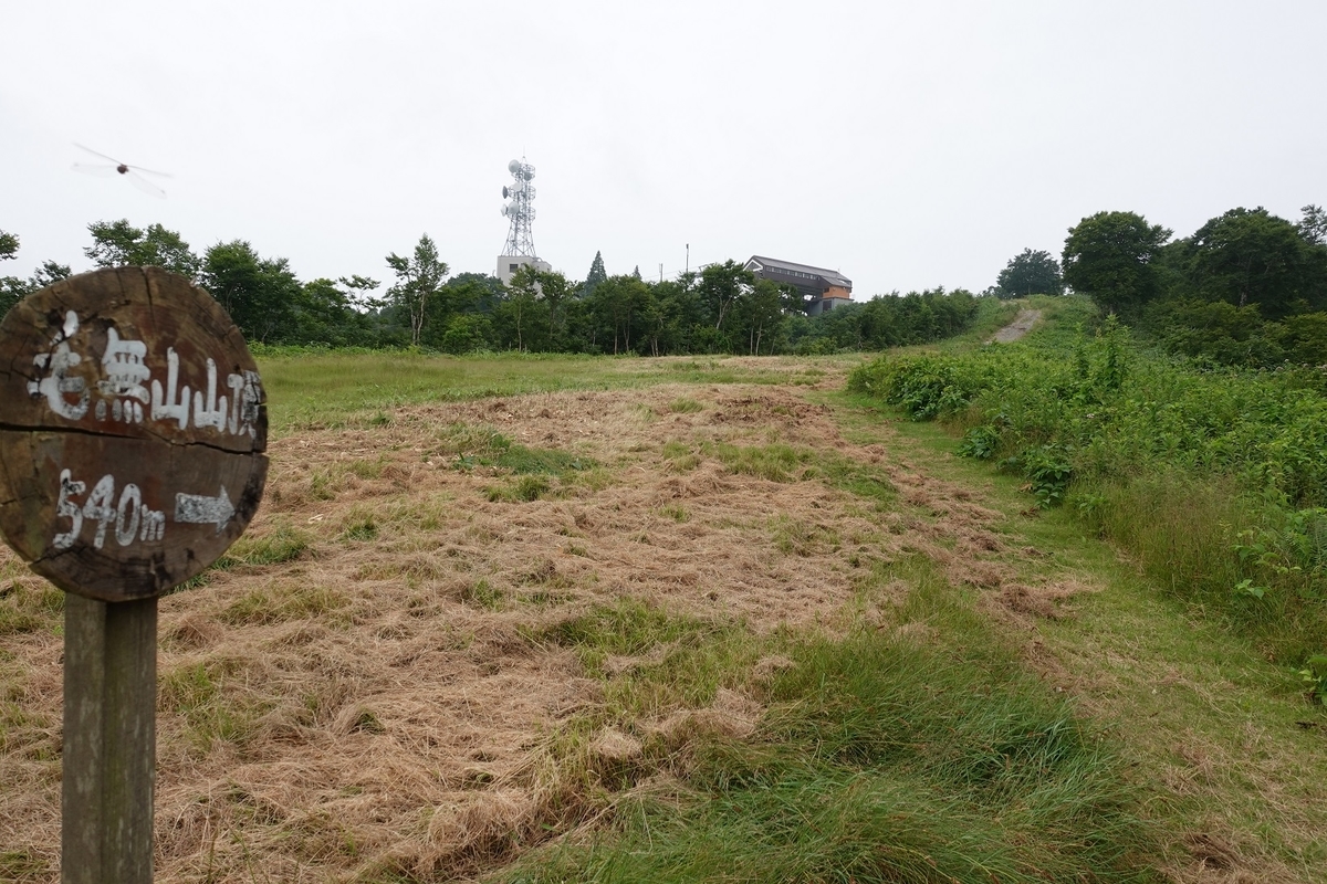 f:id:SiWaSu_CaT:20201014223823j:plain f:id:SiWaSu_CaT:20201014223823j:plain