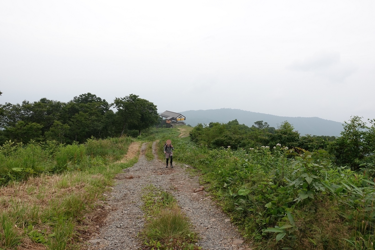 f:id:SiWaSu_CaT:20201014223957j:plain f:id:SiWaSu_CaT:20201014223957j:plain