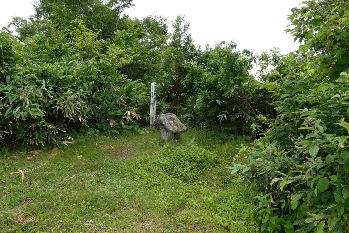 f:id:SiWaSu_CaT:20201014224006j:plain f:id:SiWaSu_CaT:20201014224006j:plain