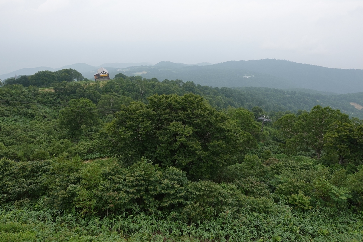 f:id:SiWaSu_CaT:20201014224804j:plain f:id:SiWaSu_CaT:20201014224804j:plain