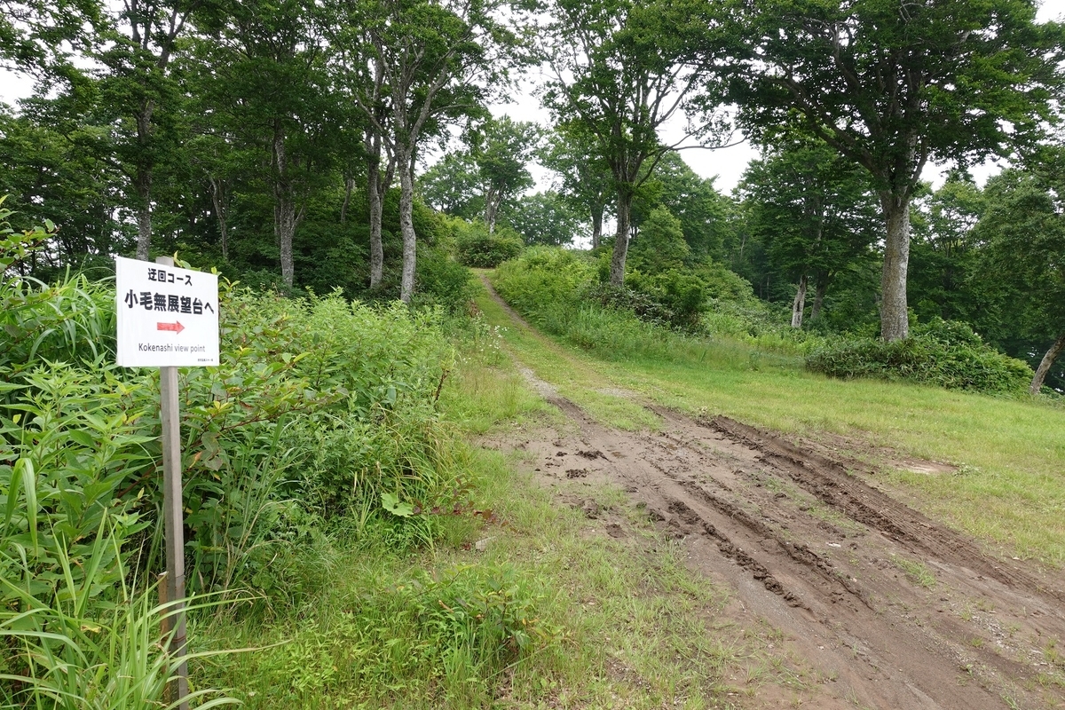 f:id:SiWaSu_CaT:20201014224814j:plain f:id:SiWaSu_CaT:20201014224814j:plain