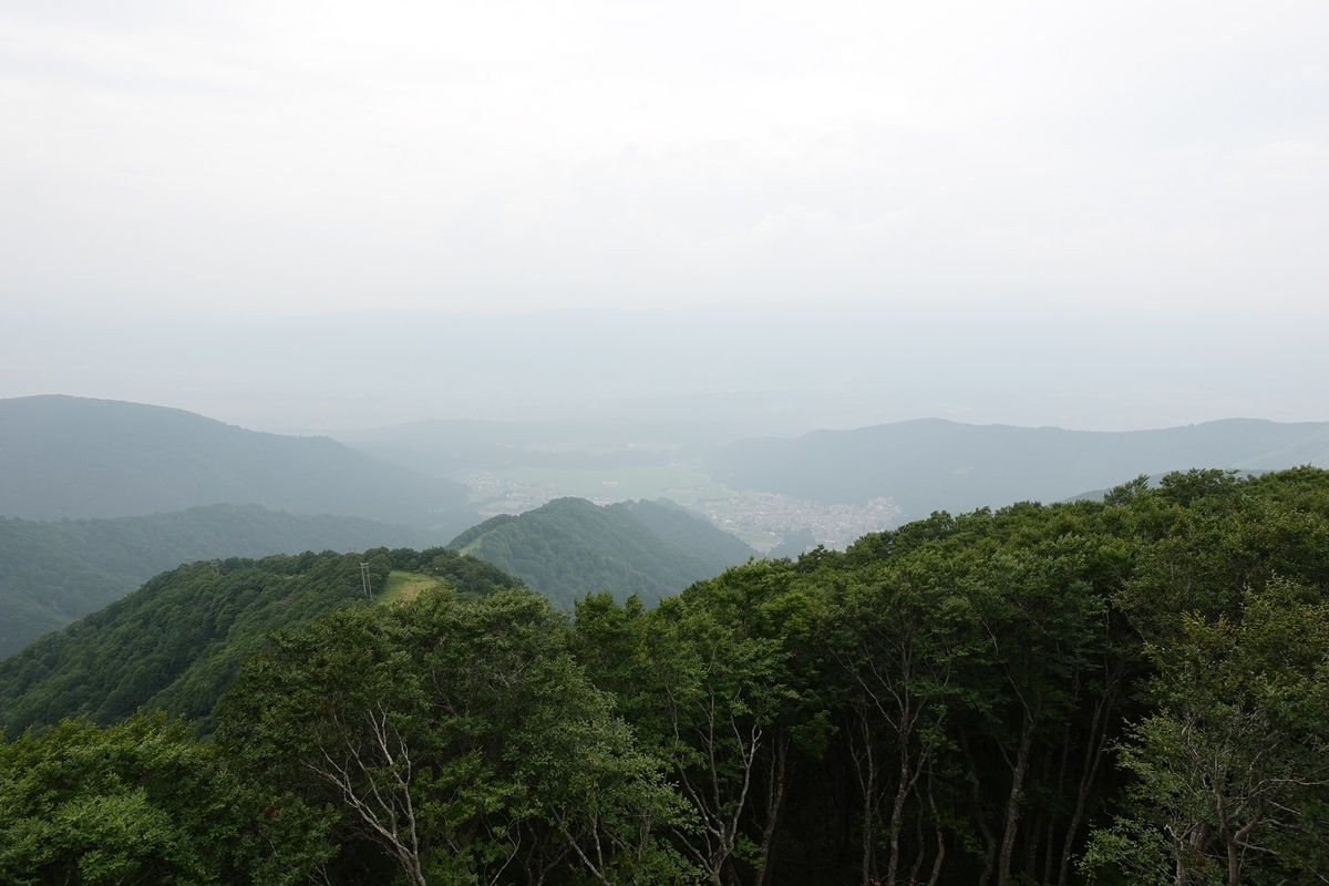 f:id:SiWaSu_CaT:20201014225006j:plain f:id:SiWaSu_CaT:20201014225006j:plain