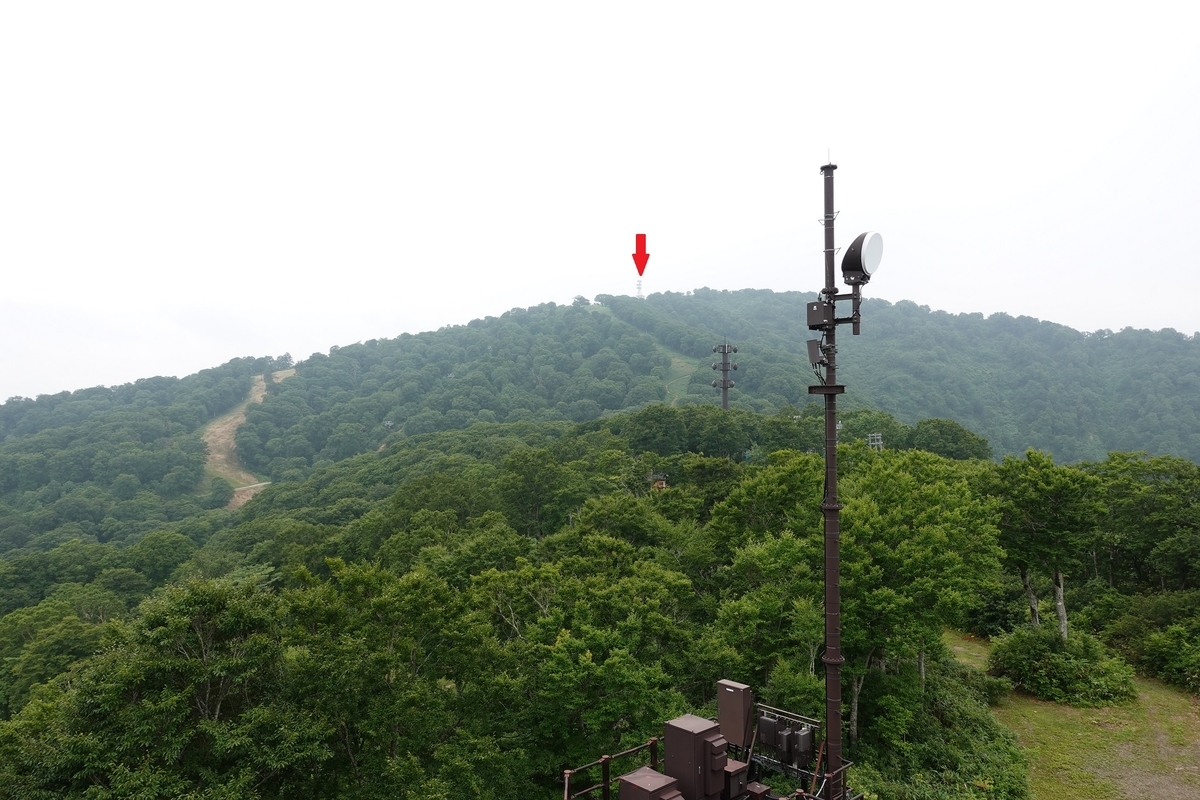 f:id:SiWaSu_CaT:20201014225011j:plain f:id:SiWaSu_CaT:20201014225011j:plain