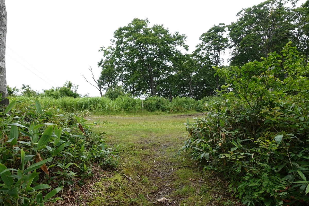 f:id:SiWaSu_CaT:20201014225244j:plain f:id:SiWaSu_CaT:20201014225244j:plain