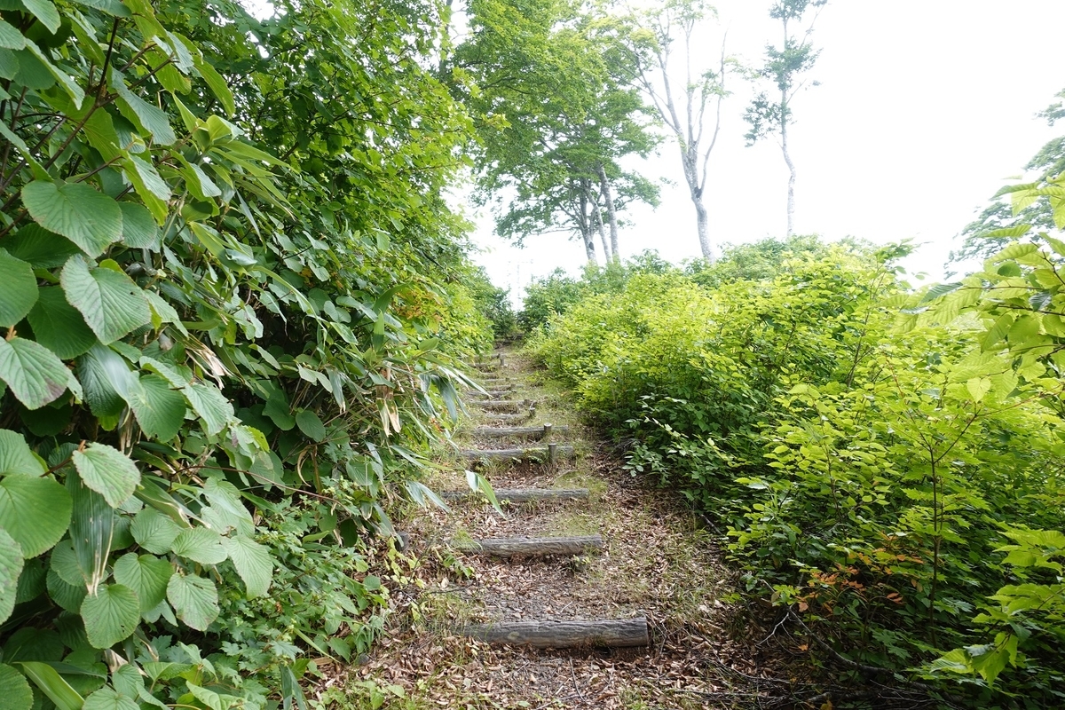 f:id:SiWaSu_CaT:20201014225255j:plain f:id:SiWaSu_CaT:20201014225255j:plain