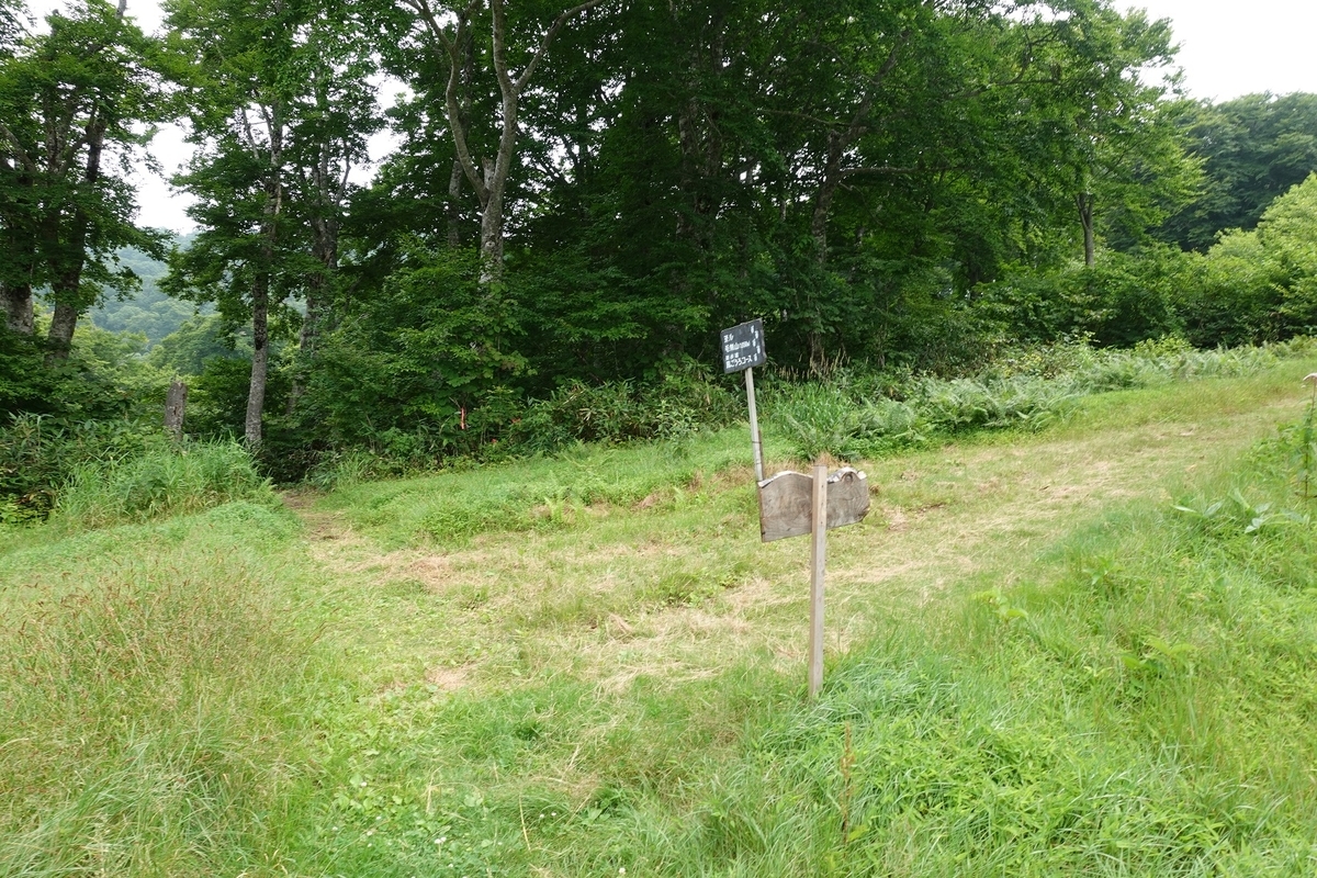 f:id:SiWaSu_CaT:20201014225311j:plain f:id:SiWaSu_CaT:20201014225311j:plain