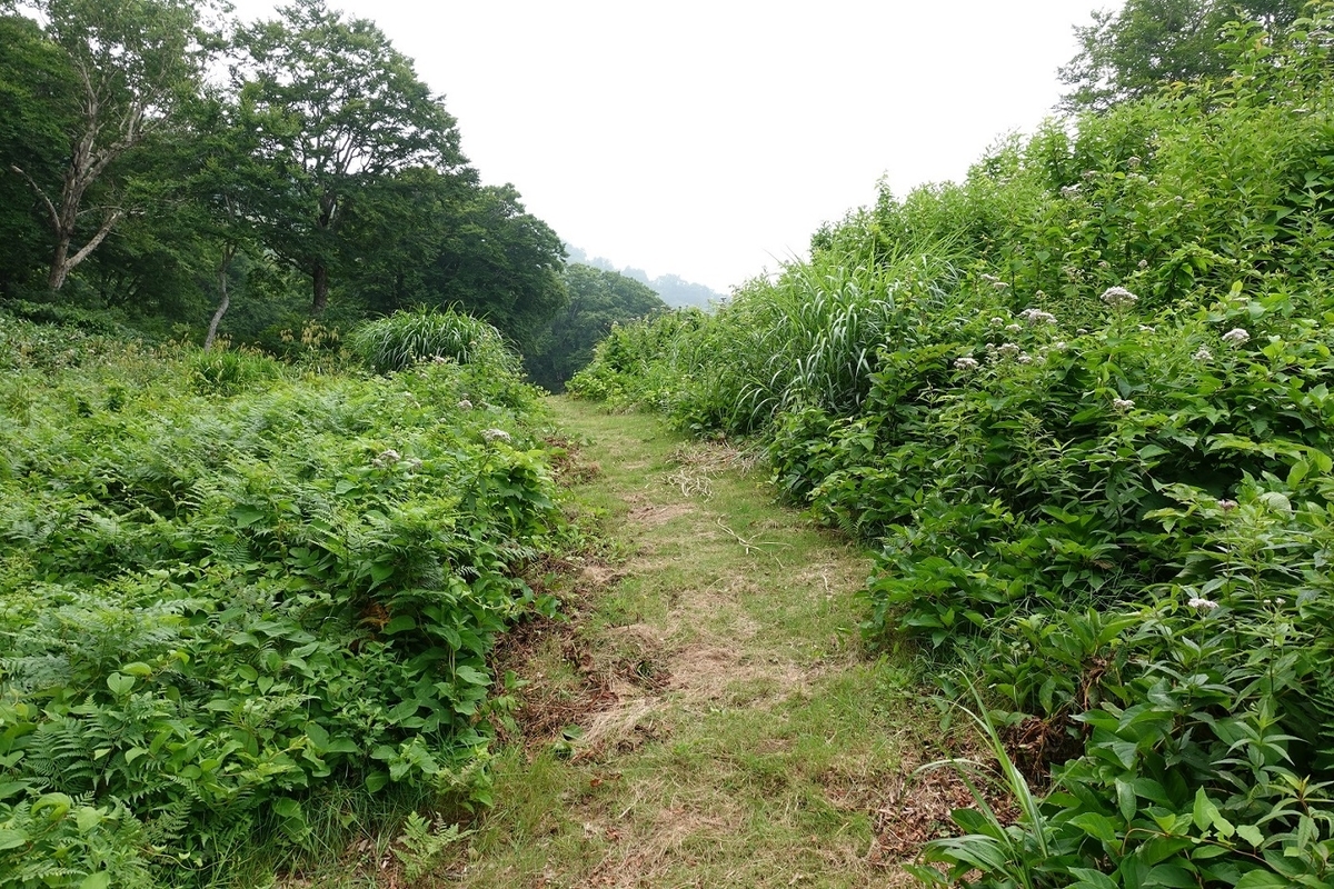 f:id:SiWaSu_CaT:20201015225545j:plain f:id:SiWaSu_CaT:20201015225545j:plain