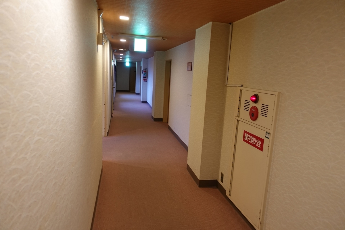 f:id:SiWaSu_CaT:20210606210818j:plain