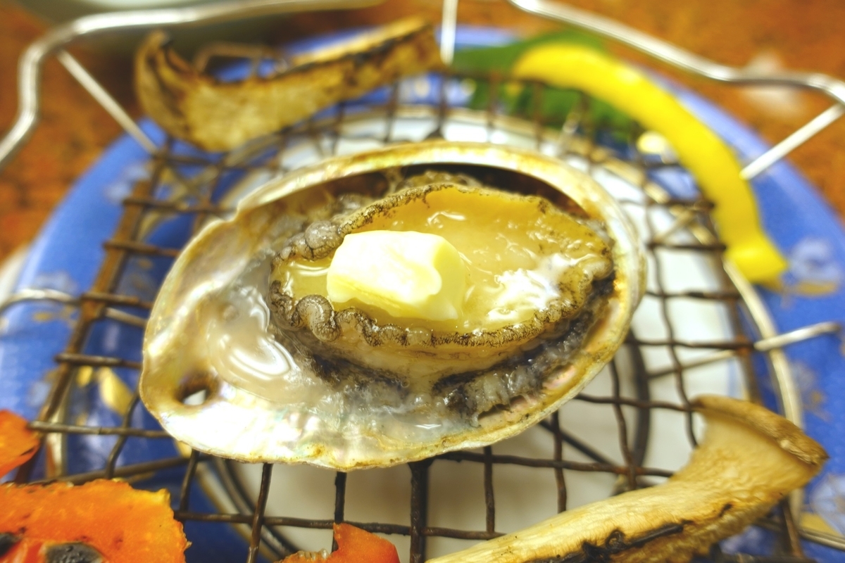 f:id:SiWaSu_CaT:20210606211436j:plain