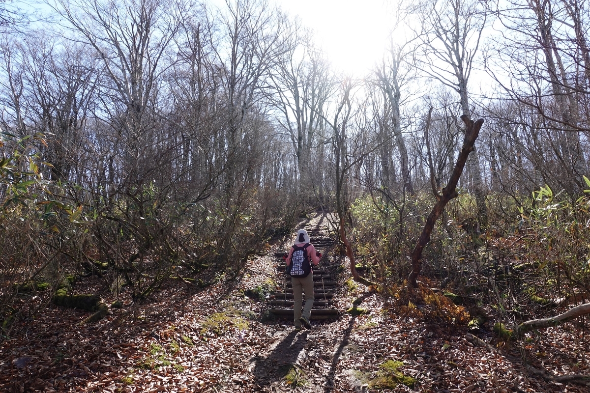 f:id:SiWaSu_CaT:20210730192001j:plain