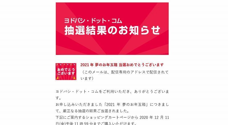 ヨドバシカメラ福袋 [ サーフェスProの夢 i3 128GB ]の中身ネタバレ