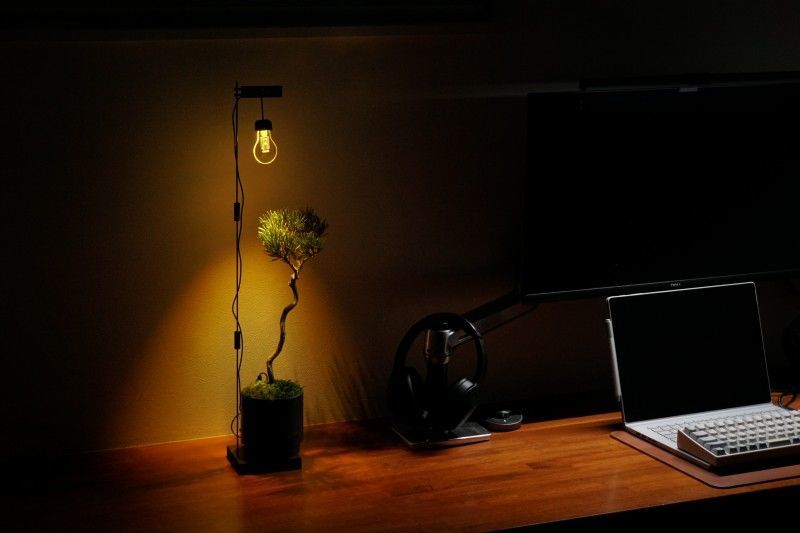 デスク　植物　照明