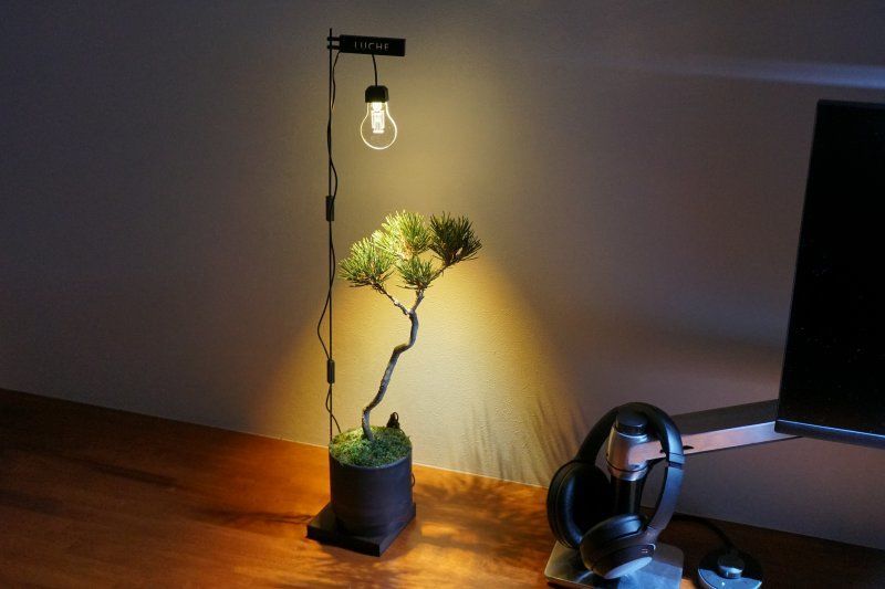 おすすめ　植物　ライト