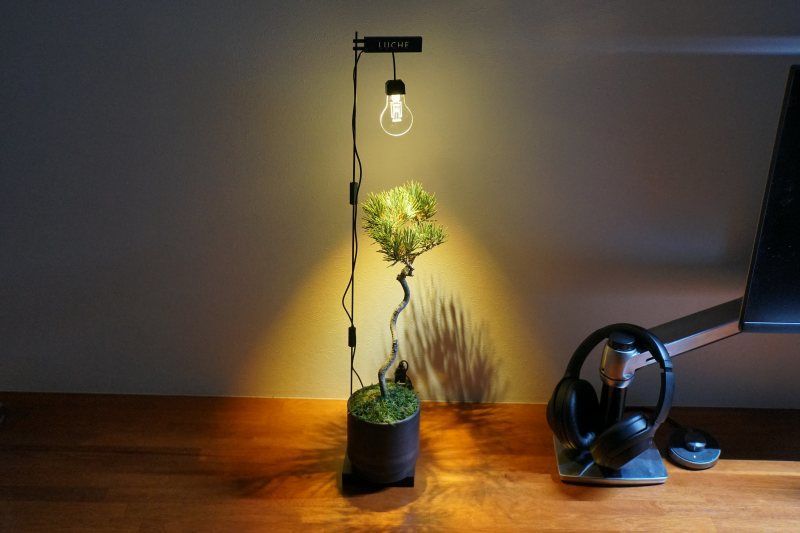 植物用 ライト おすすめ